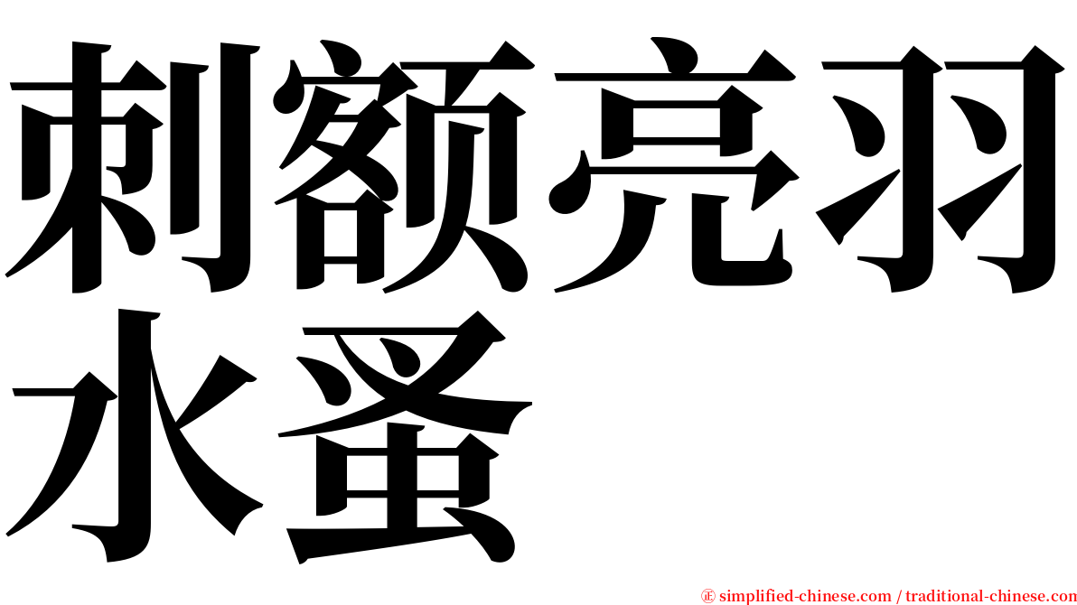 刺额亮羽水蚤 serif font