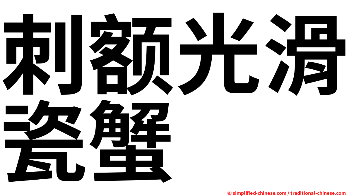 刺额光滑瓷蟹