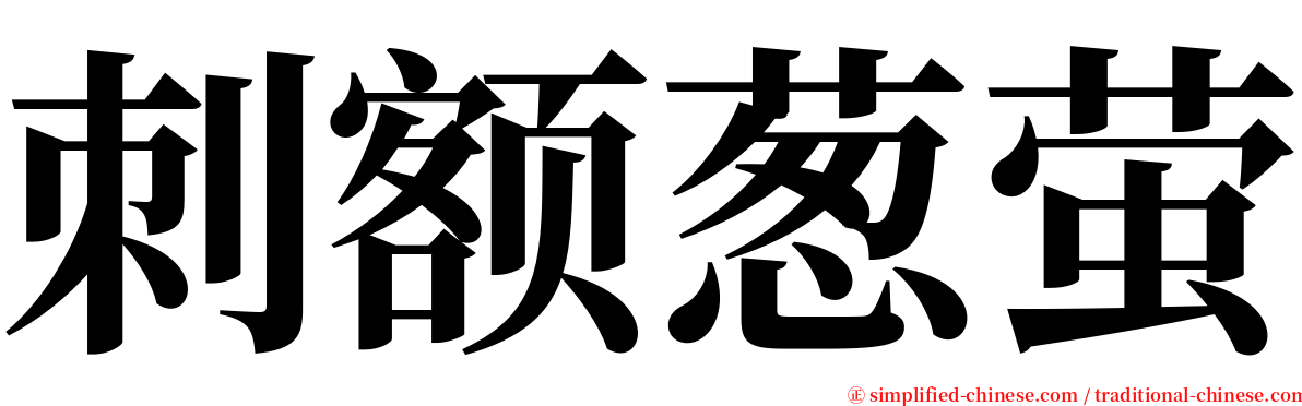 刺额葱萤 serif font