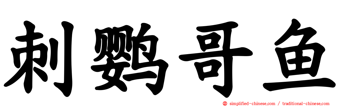 刺鹦哥鱼