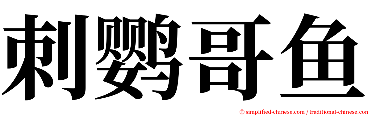 刺鹦哥鱼 serif font