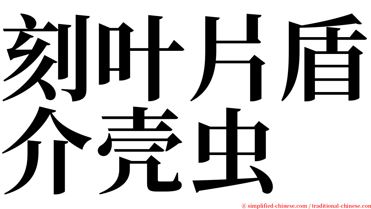 刻叶片盾介壳虫 serif font