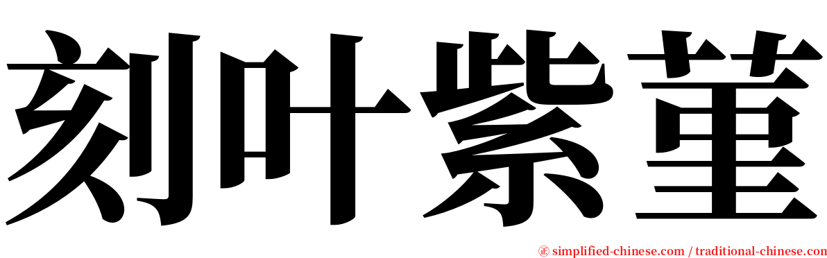 刻叶紫菫 serif font