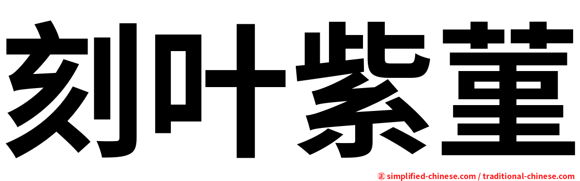 刻叶紫菫