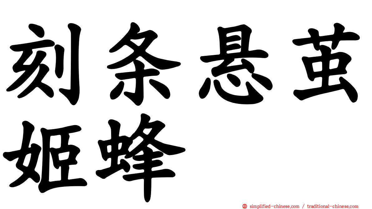 刻条悬茧姬蜂