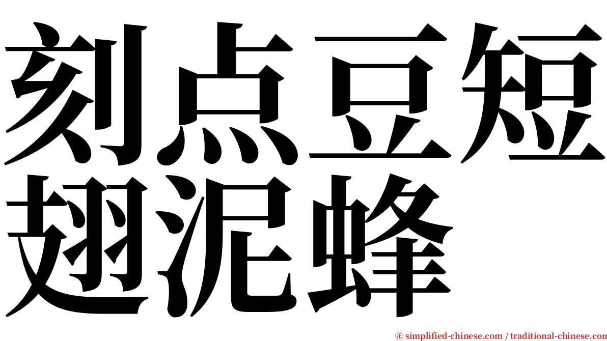 刻点豆短翅泥蜂 serif font