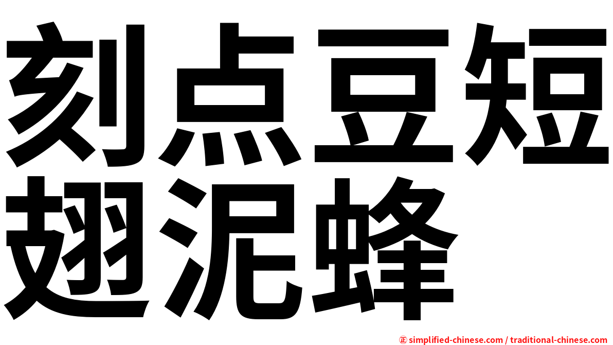 刻点豆短翅泥蜂