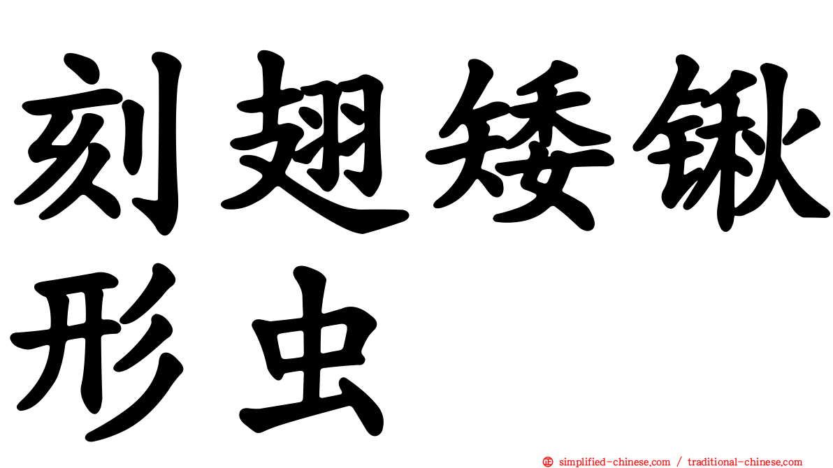 刻翅矮锹形虫