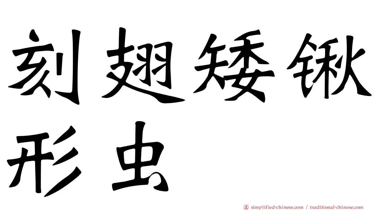 刻翅矮锹形虫