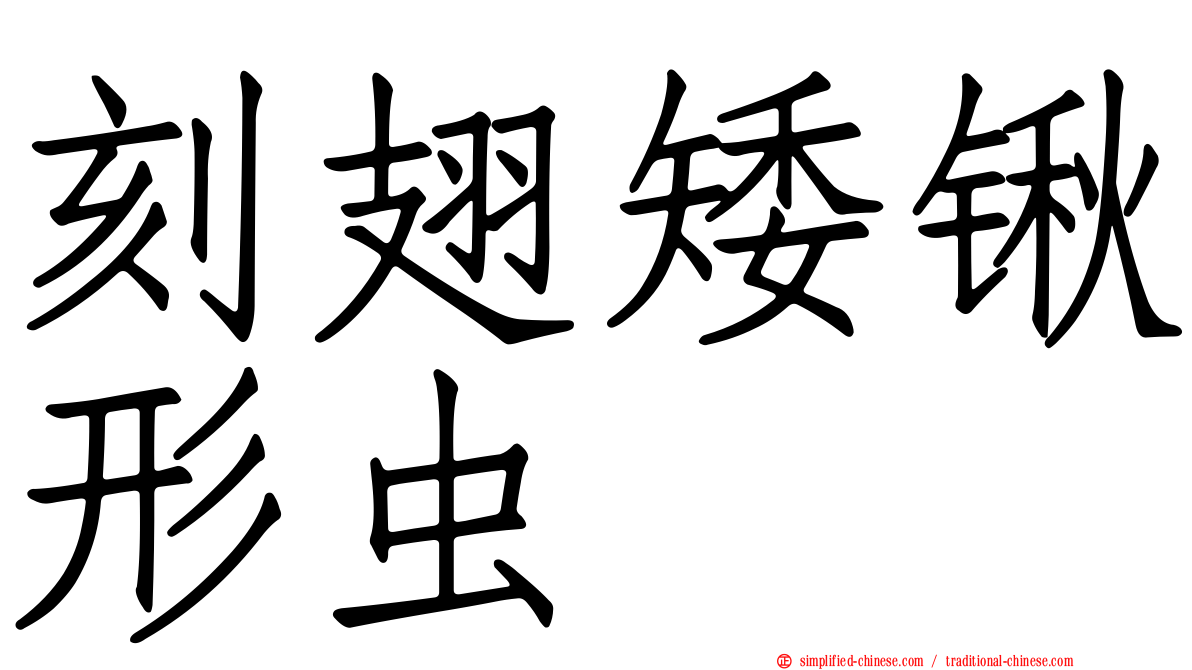 刻翅矮锹形虫