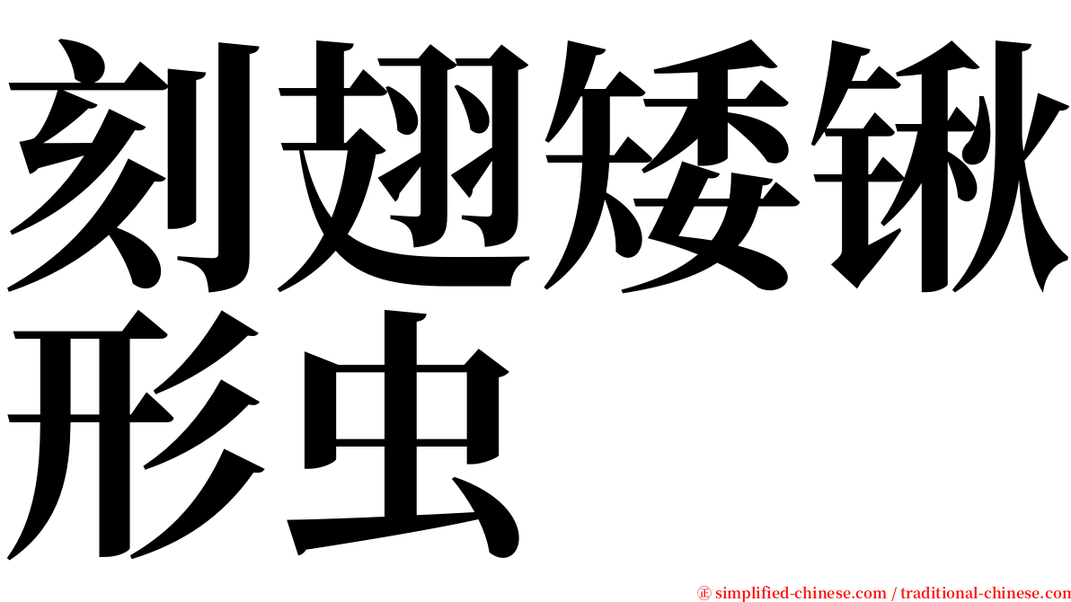 刻翅矮锹形虫 serif font