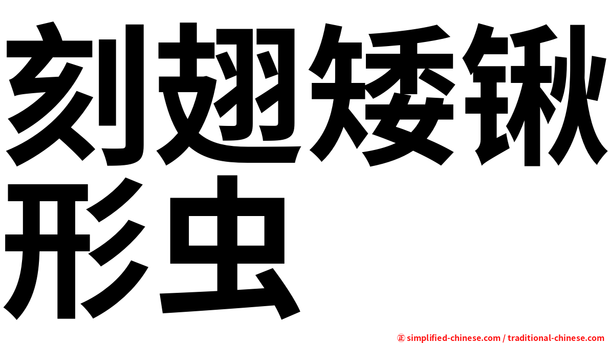 刻翅矮锹形虫