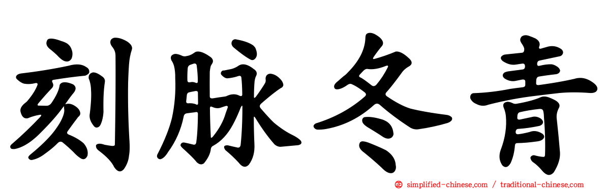 刻脉冬青