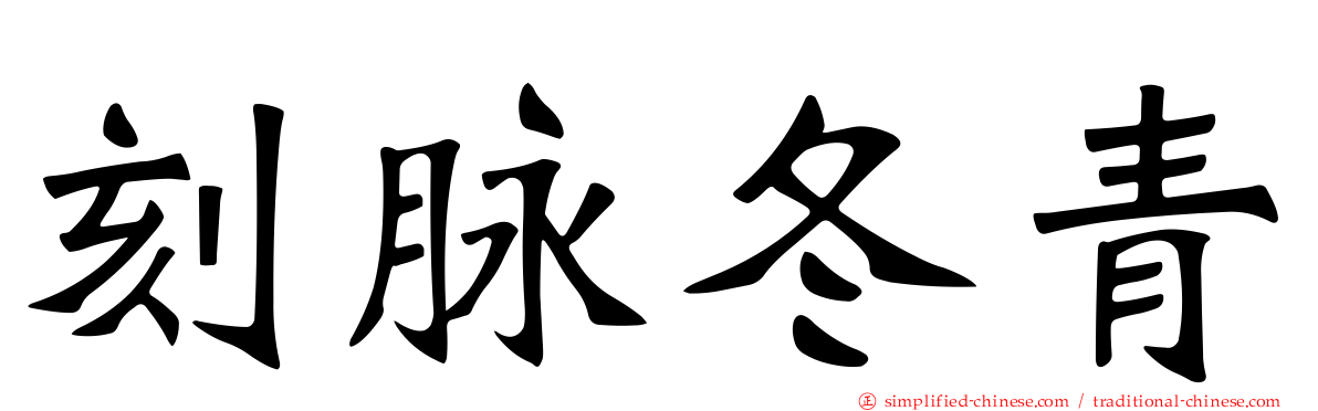 刻脉冬青