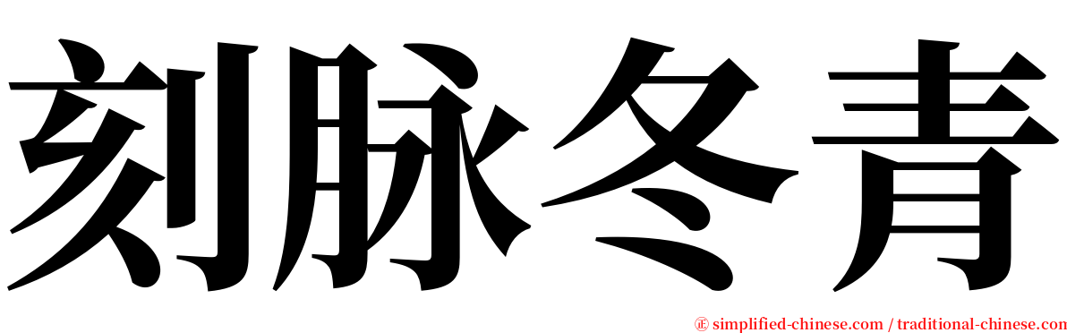 刻脉冬青 serif font