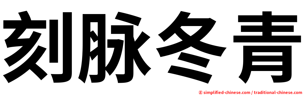 刻脉冬青