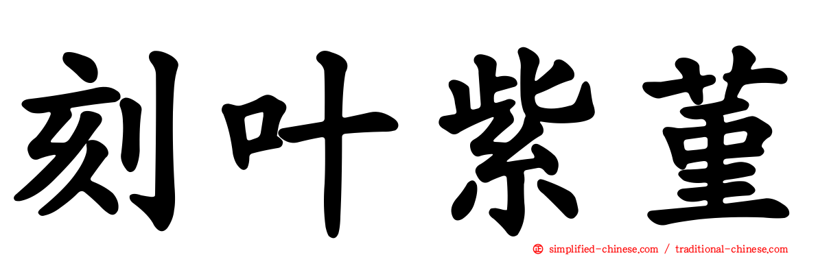 刻叶紫菫