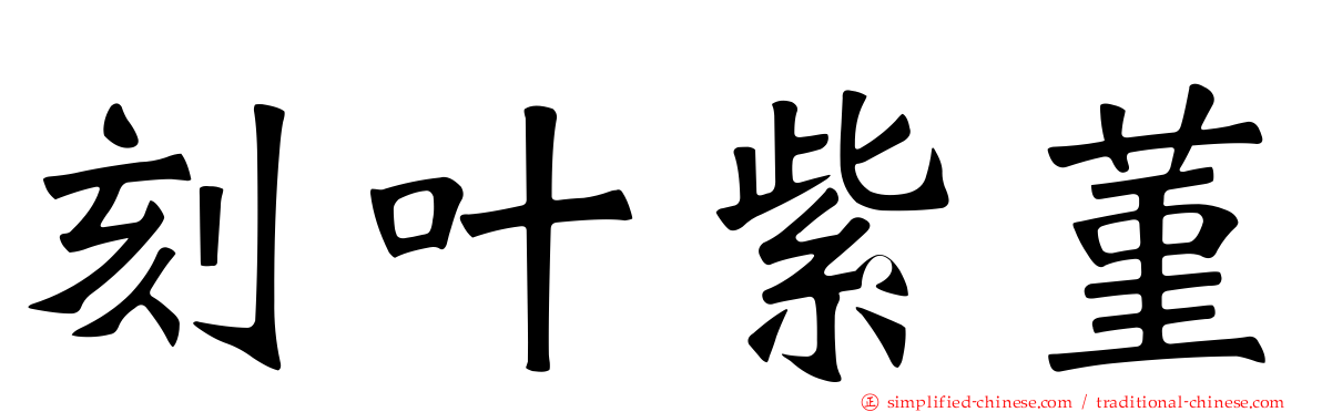 刻叶紫菫