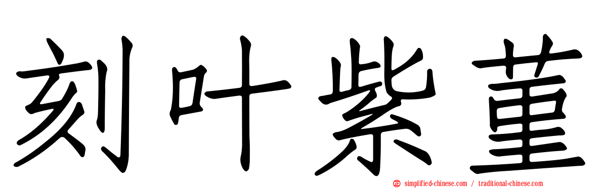 刻叶紫菫