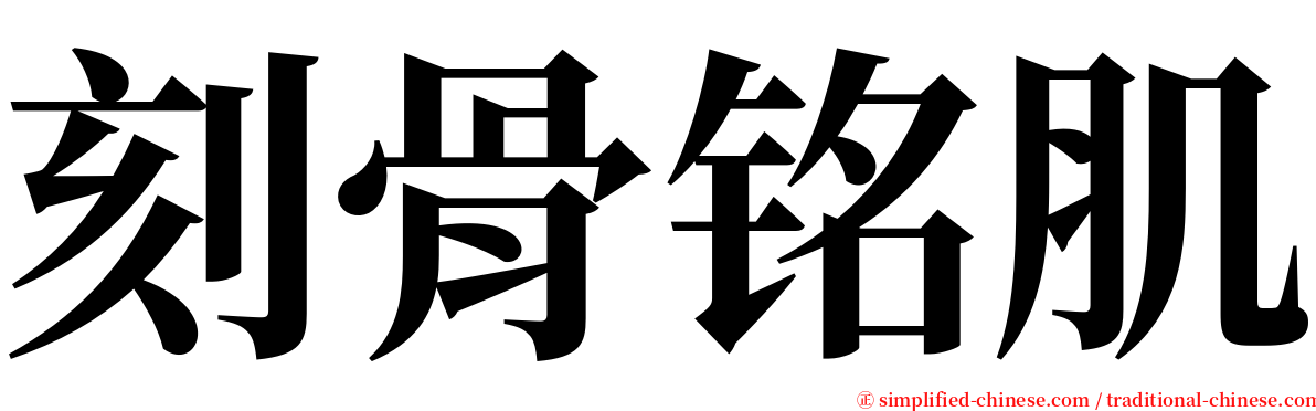 刻骨铭肌 serif font