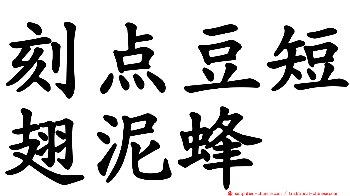 刻点豆短翅泥蜂