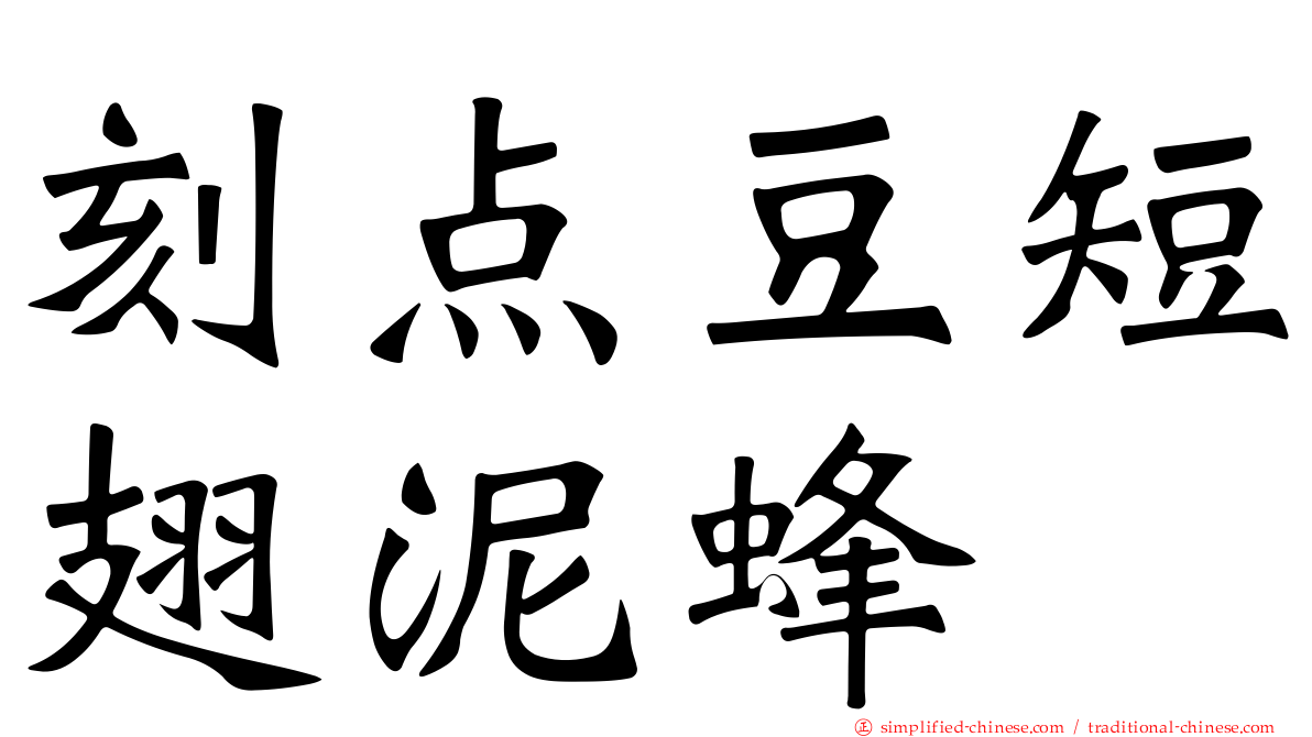 刻点豆短翅泥蜂