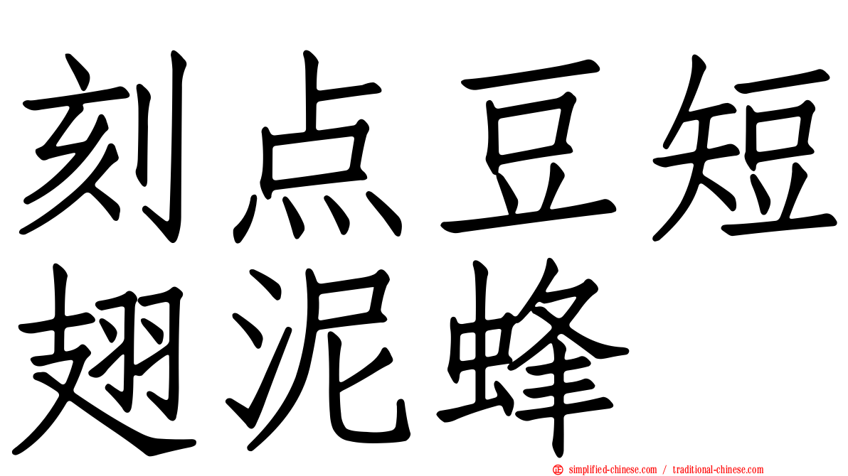 刻点豆短翅泥蜂