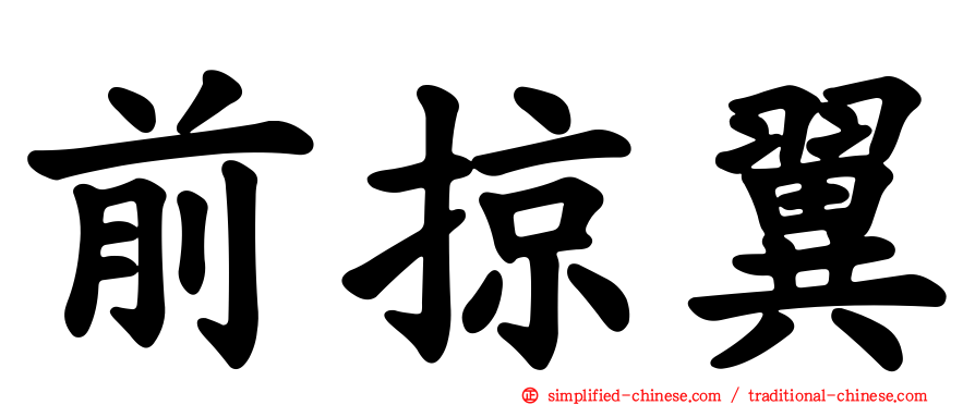 前掠翼
