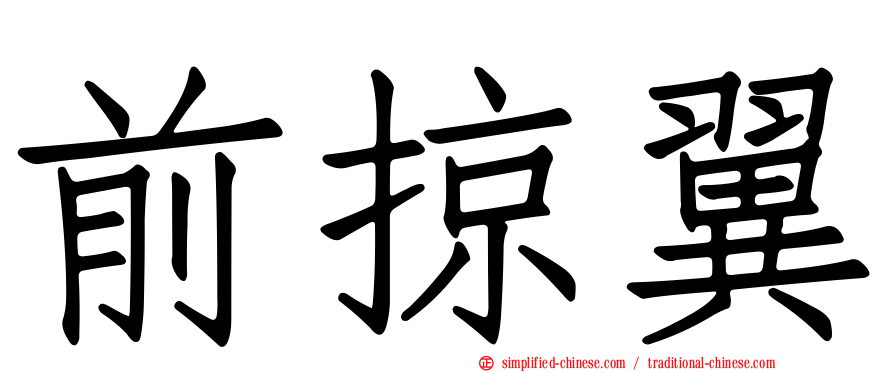 前掠翼