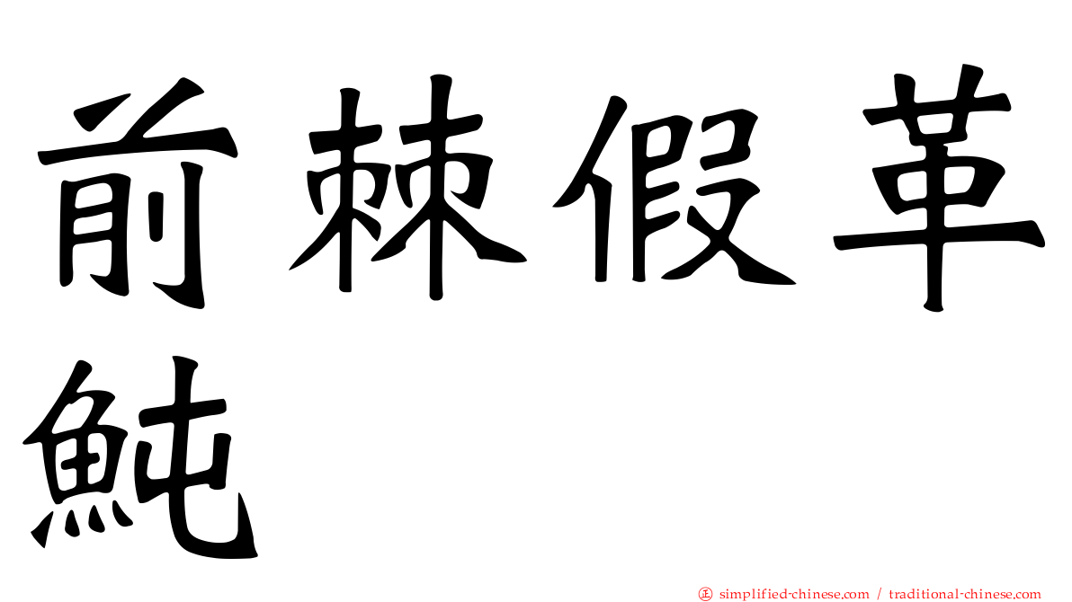 前棘假革鲀