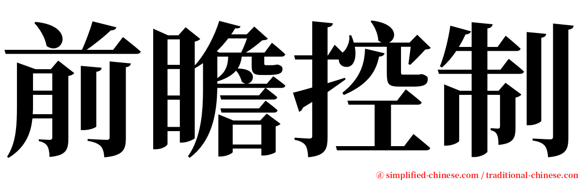 前瞻控制 serif font