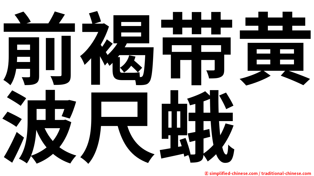 前褐带黄波尺蛾