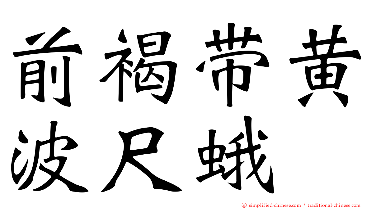 前褐带黄波尺蛾