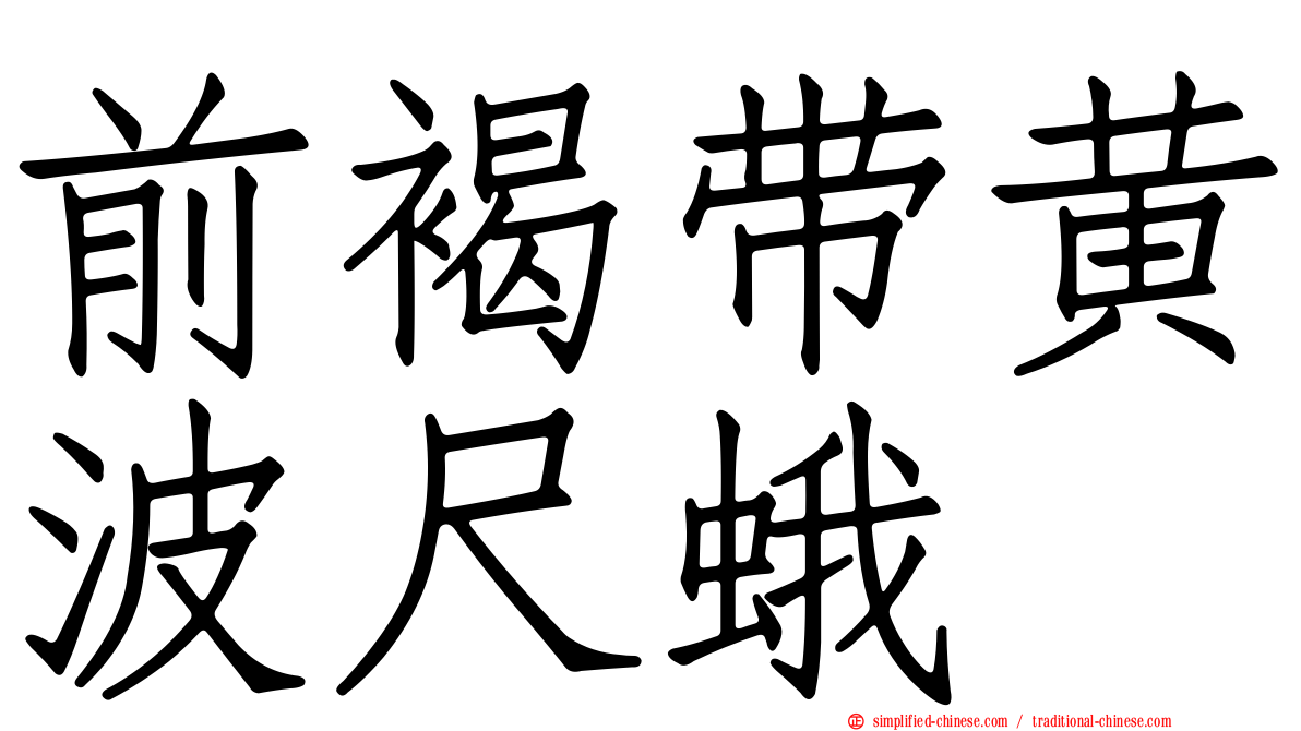前褐带黄波尺蛾