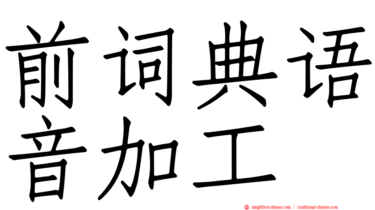 前词典语音加工