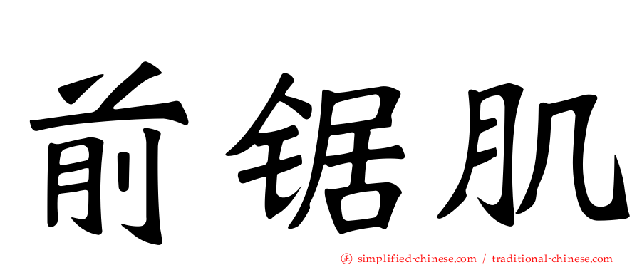 前锯肌