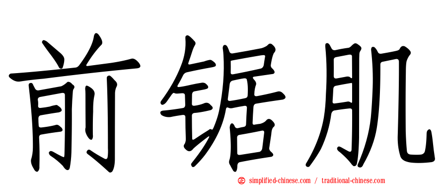 前锯肌