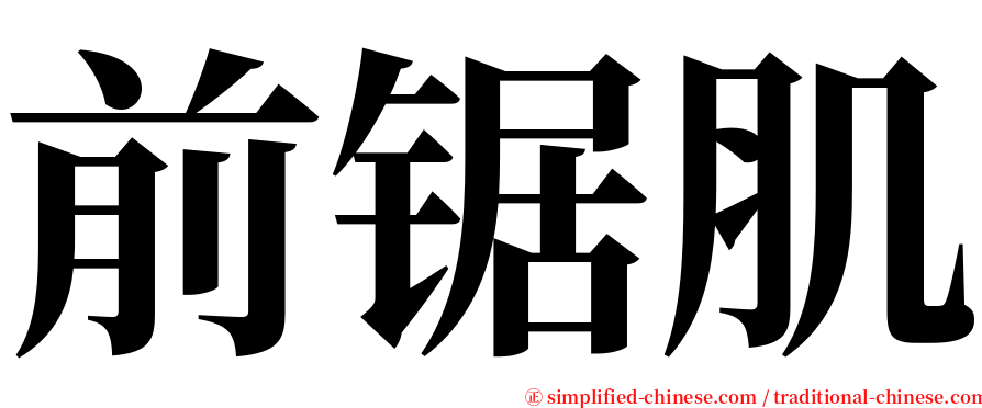 前锯肌 serif font