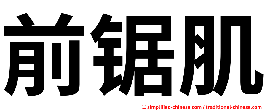 前锯肌