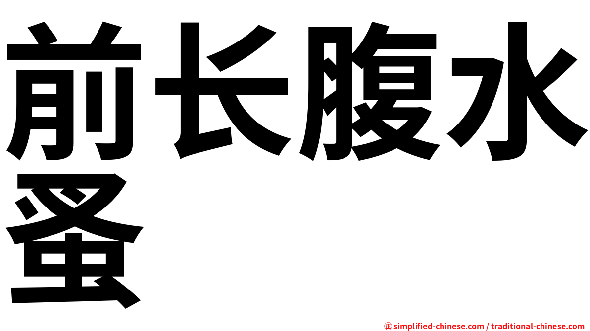 前长腹水蚤