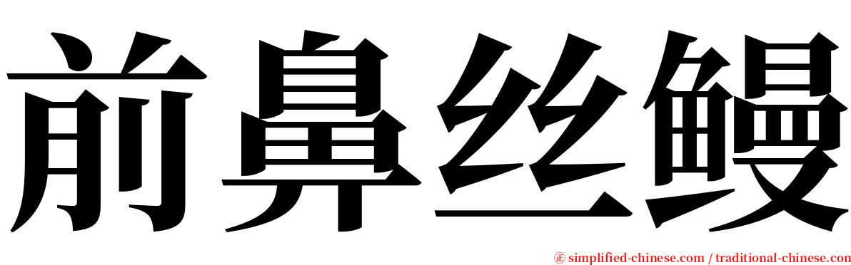前鼻丝鳗 serif font