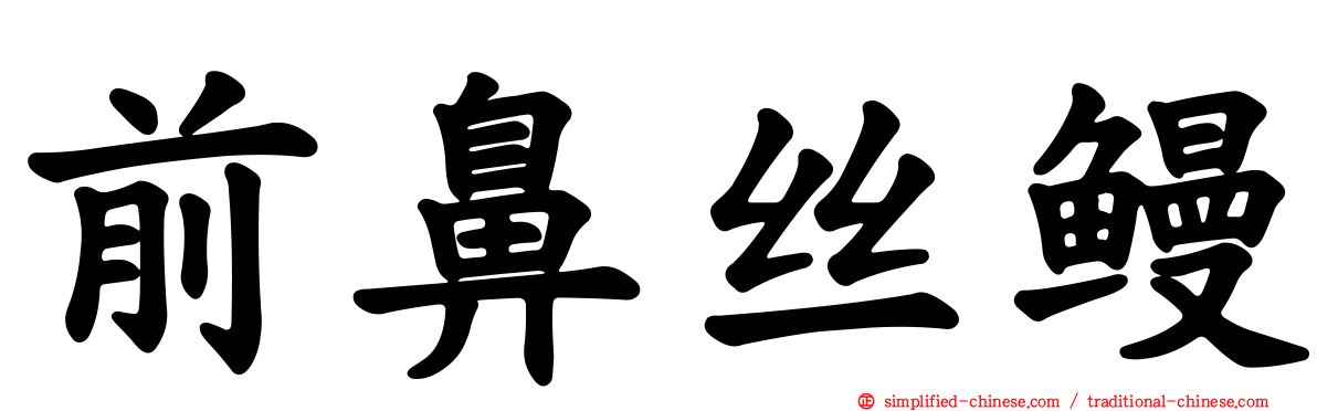 前鼻丝鳗
