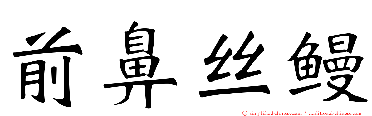 前鼻丝鳗