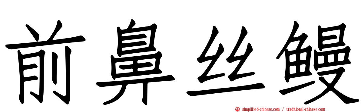 前鼻丝鳗