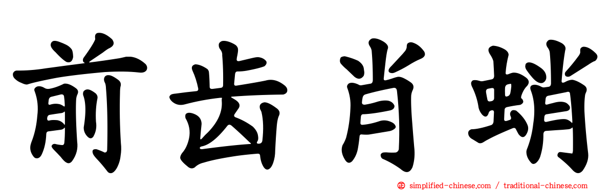 前齿肖蛸