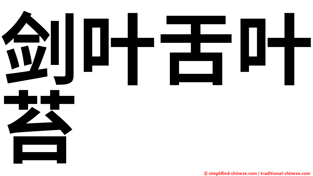 剑叶舌叶苔