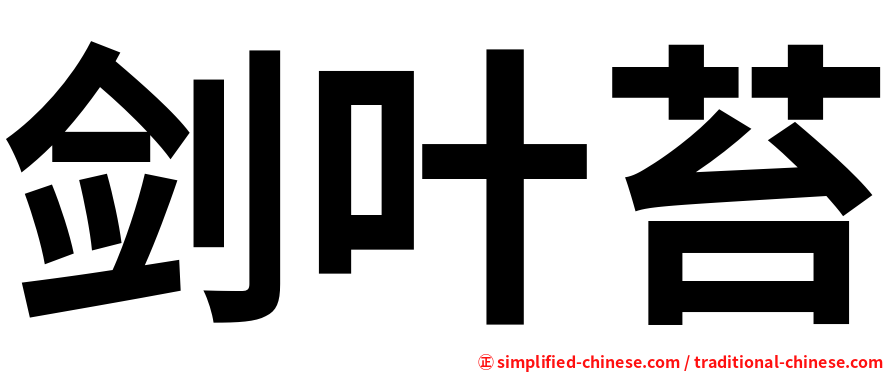 剑叶苔