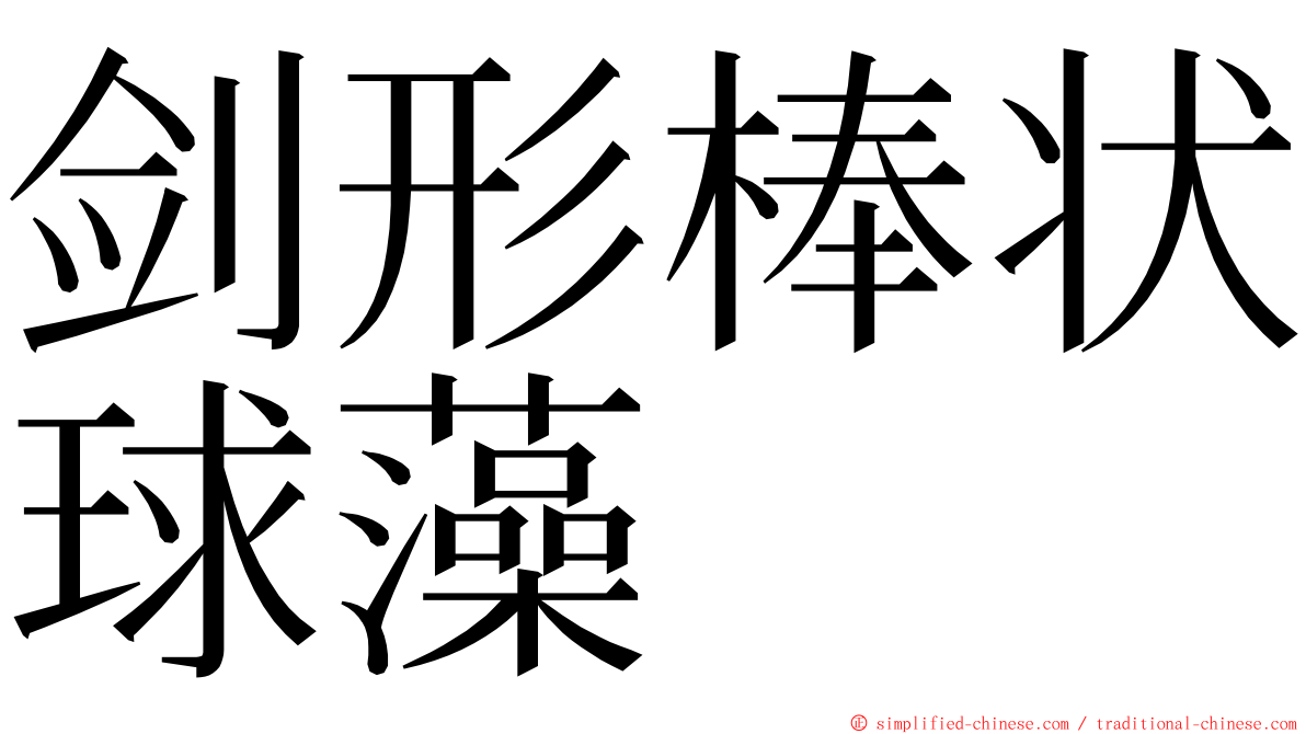剑形棒状球藻 ming font