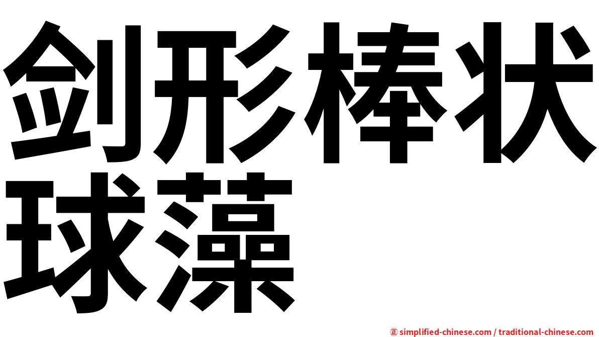 剑形棒状球藻