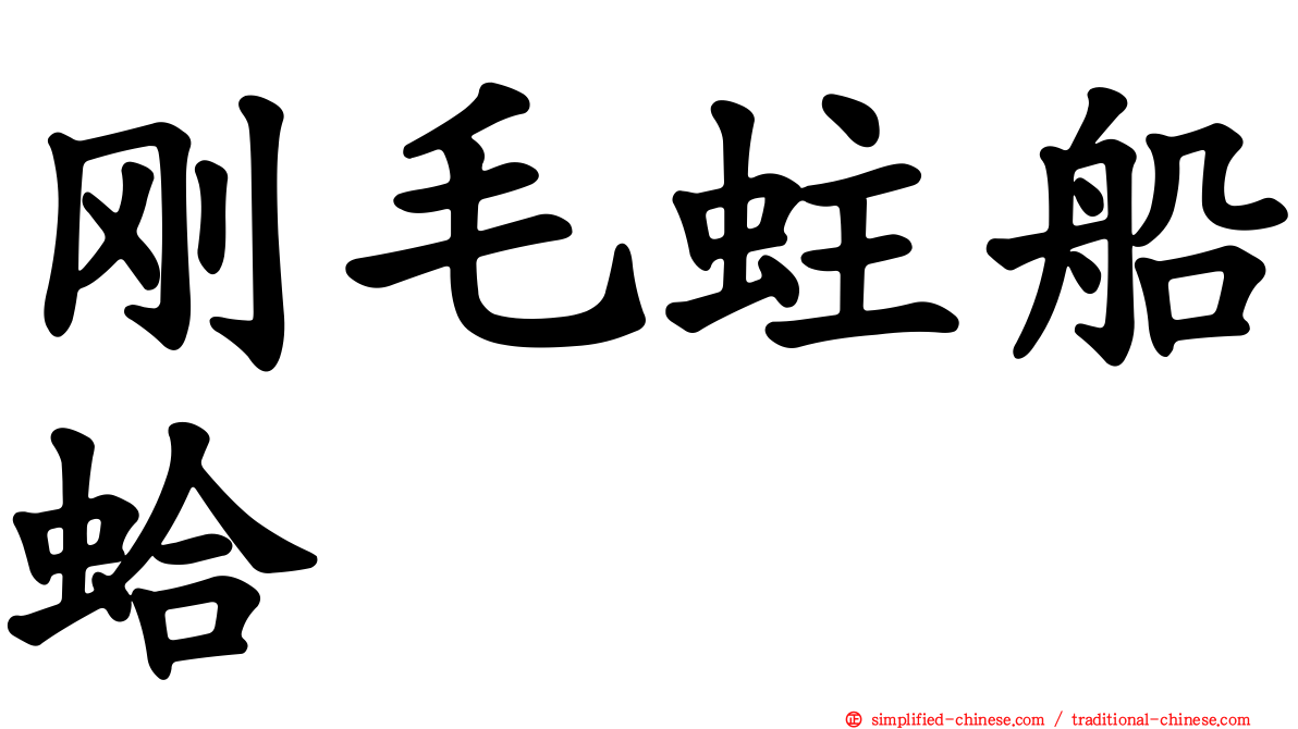 刚毛蛀船蛤